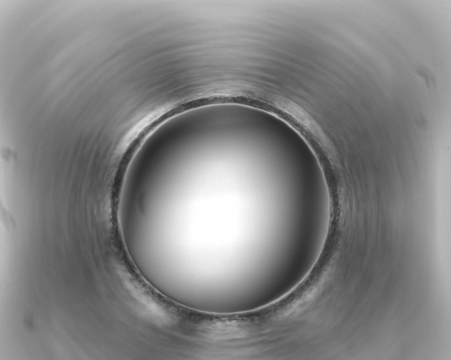 X0000091350834200708101528