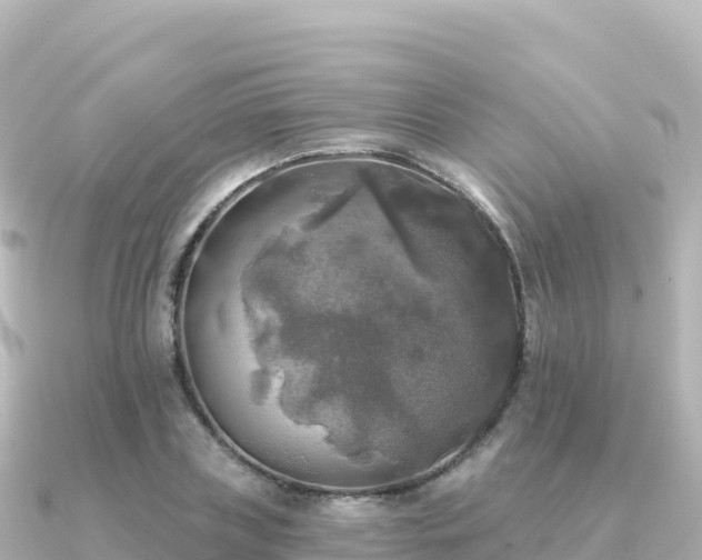X0000091350835200708101528