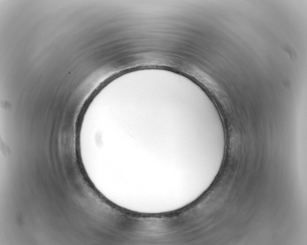 X0000091350836200708101528