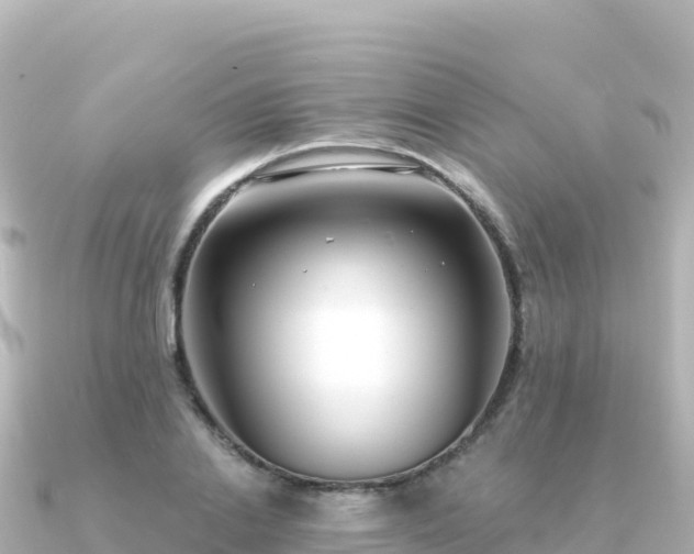 X0000091350838200708101528