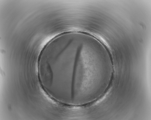 X0000091350839200708101528