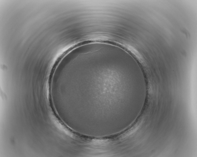 X0000091350840200708101528