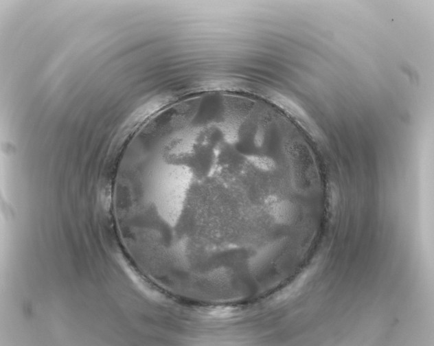X0000091350841200708101528