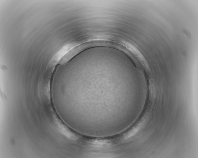 X0000091350842200708101528