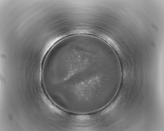 X0000091350844200708101528
