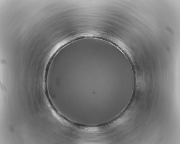 X0000091350845200708101528
