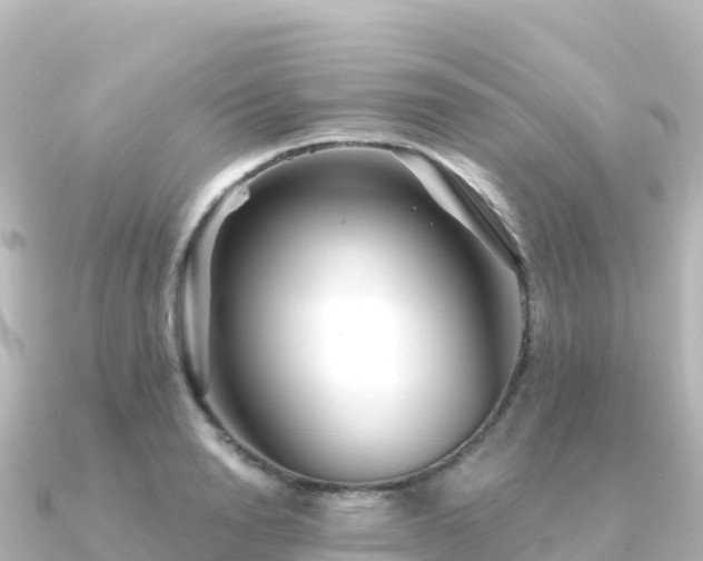 X0000091350846200708101528