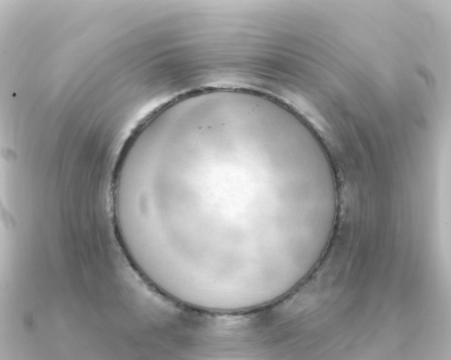 X0000091350848200708101528