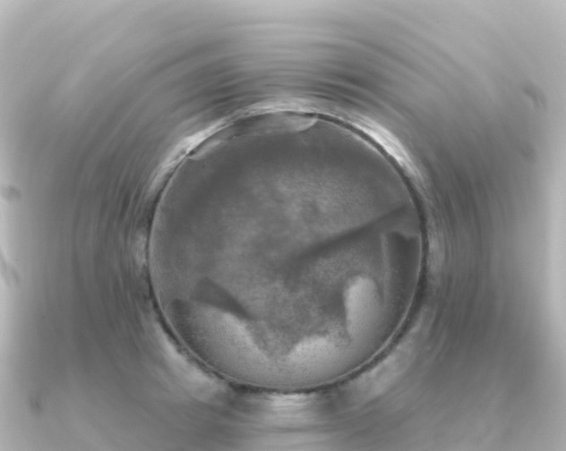 X0000091350849200708101528