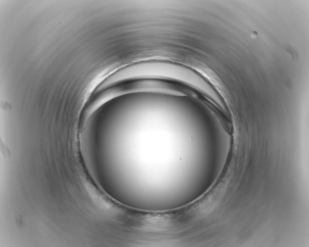 X0000091350850200708101528