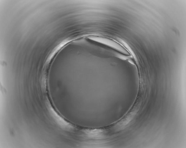 X0000091350851200708101529