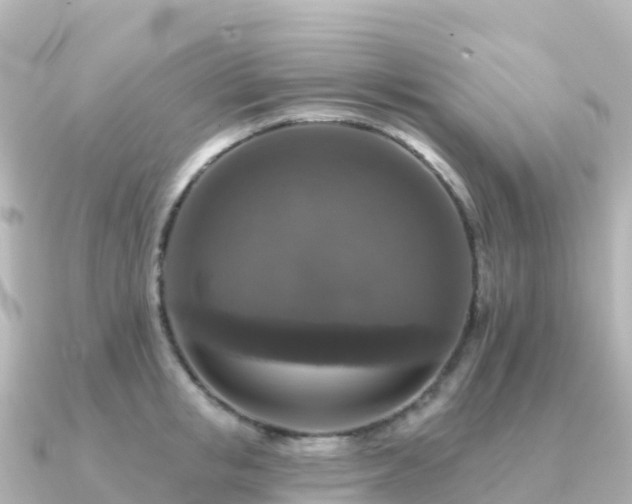 X0000091350853200708101529