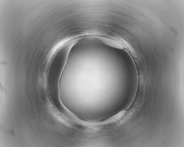 X0000091350854200708101529
