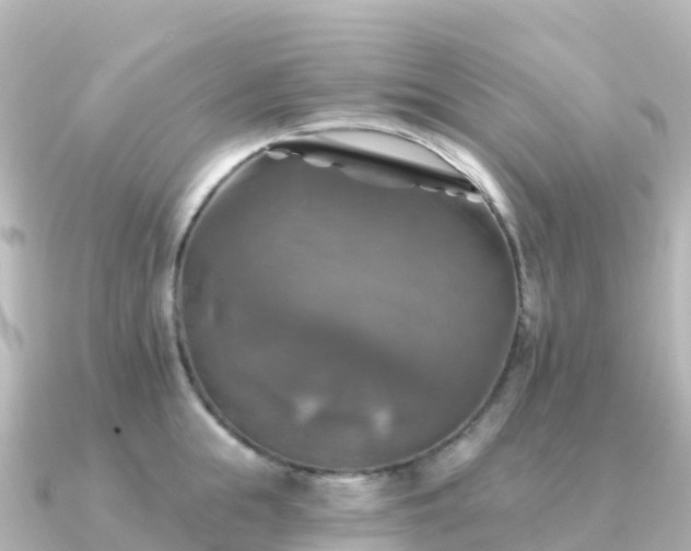 X0000091350855200708101529