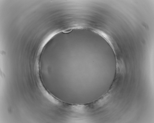 X0000091350859200708101529