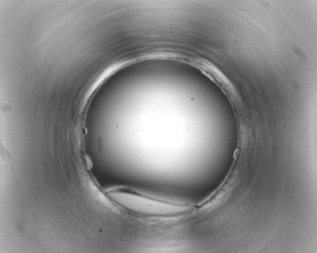 X0000091350860200708101529