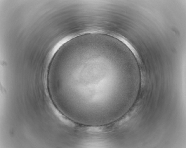 X0000091350861200708101529
