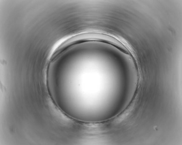 X0000091350862200708101529