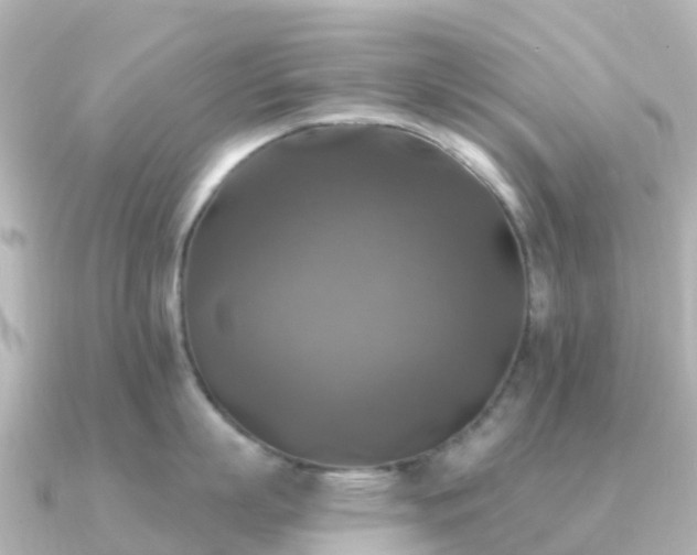 X0000091350863200708101529
