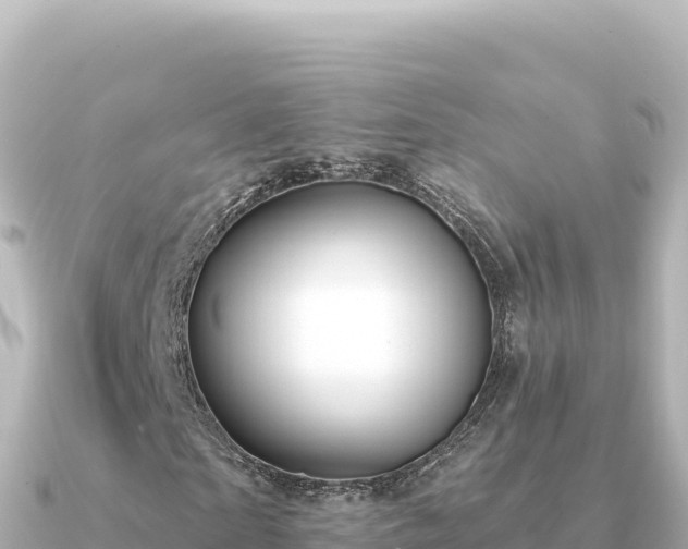 X0000091350865200708101528
