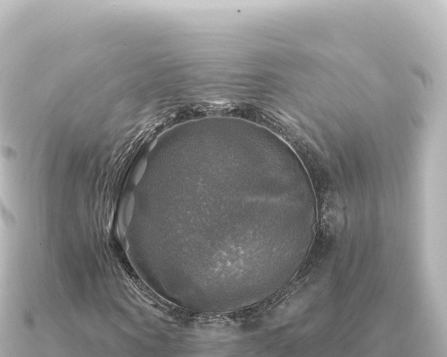 X0000091350866200708101528