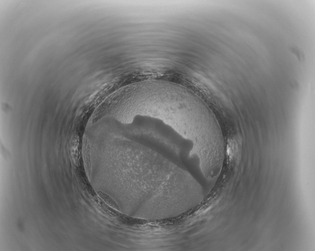 X0000091350867200708101528