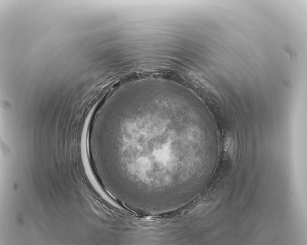X0000091350868200708101528
