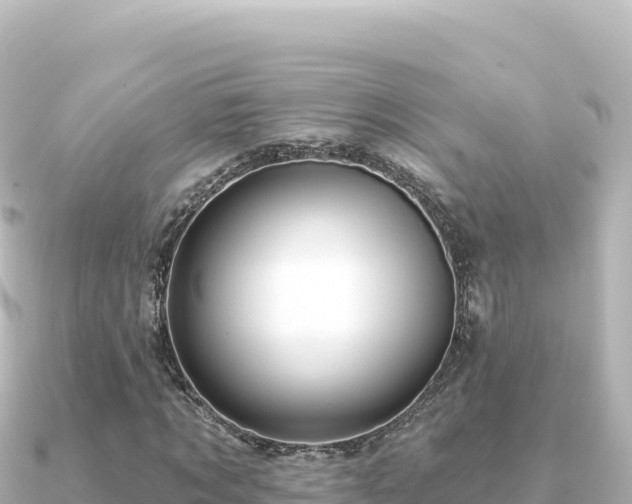 X0000091350869200708101528