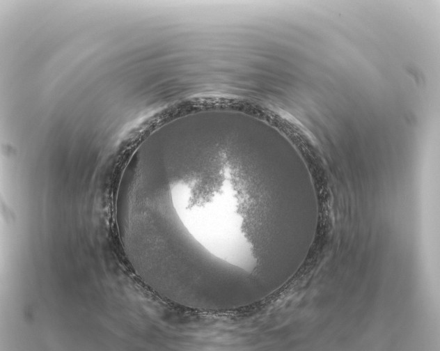 X0000091350870200708101528
