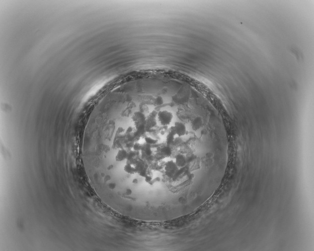 X0000091350871200708101528
