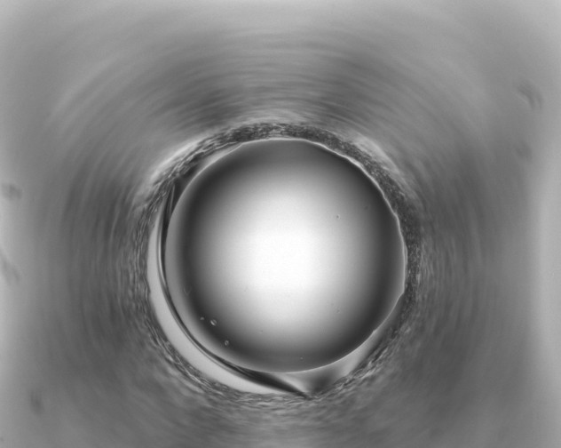 X0000091350872200708101528