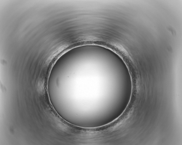 X0000091350873200708101528