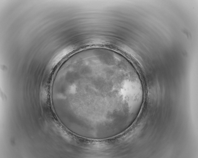 X0000091350874200708101528