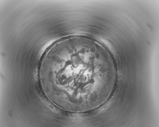 X0000091350875200708101528
