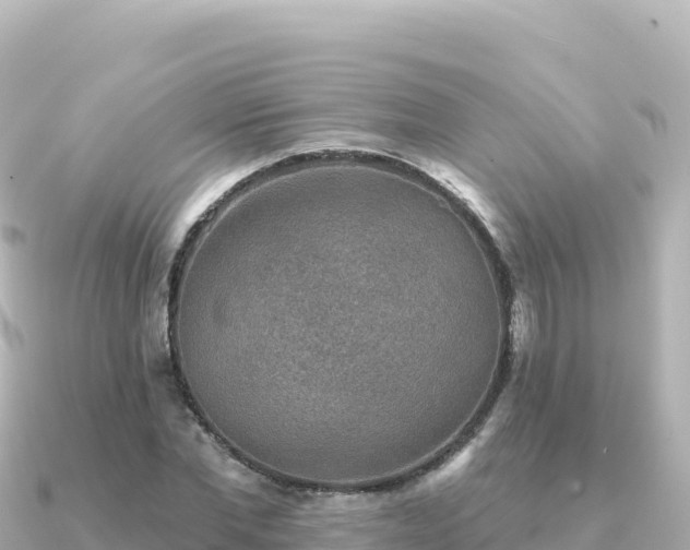 X0000091350877200708101528