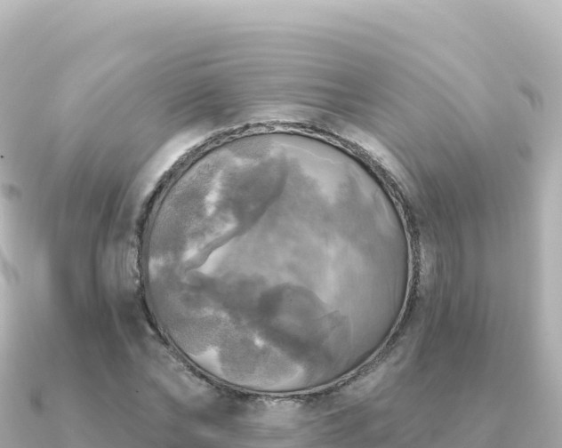 X0000091350878200708101528