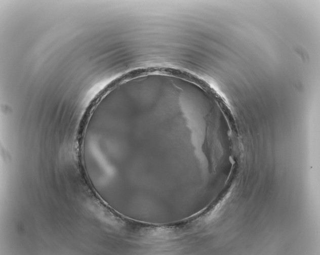 X0000091350879200708101528