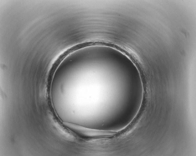 X0000091350880200708101528