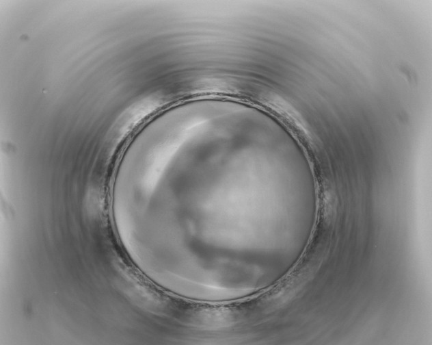 X0000091350882200708101528