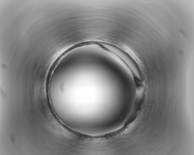 X0000091350884200708101528