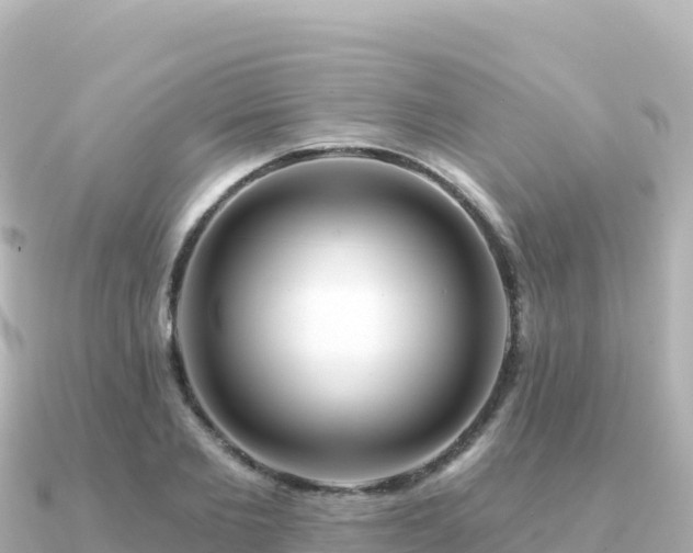 X0000091350885200708101528