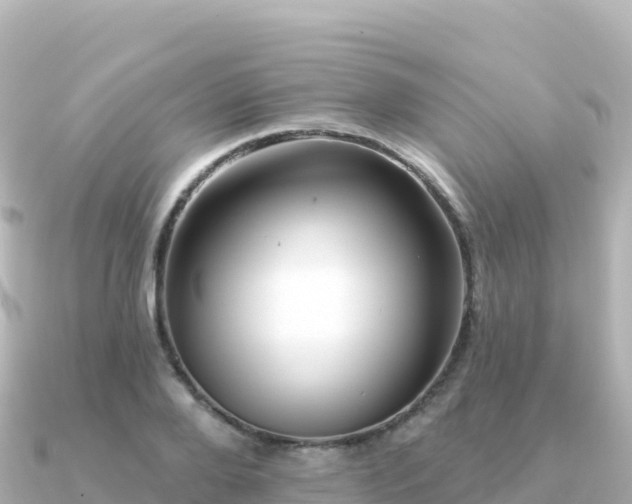 X0000091350888200708101528