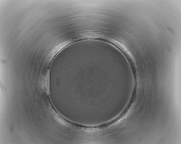 X0000091350889200708101528