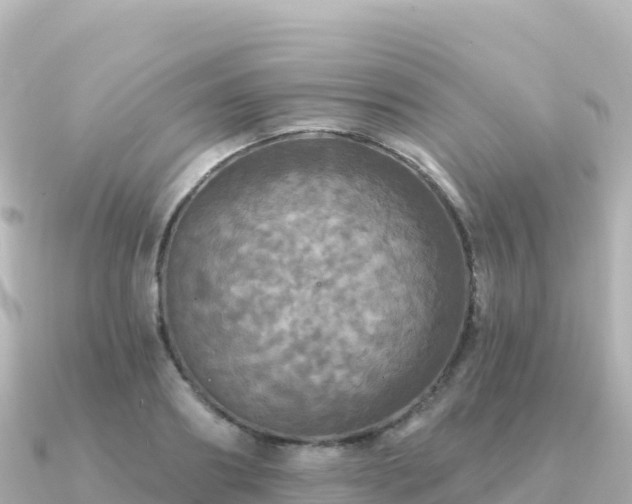 X0000091350890200708101528