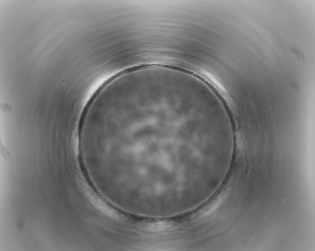X0000091350891200708101528