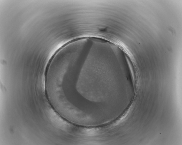 X0000091350892200708101528