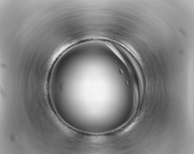 X0000091350893200708101528