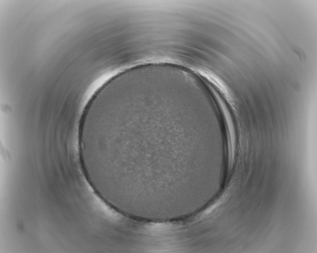 X0000091350894200708101528