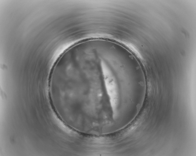 X0000091350895200708101528