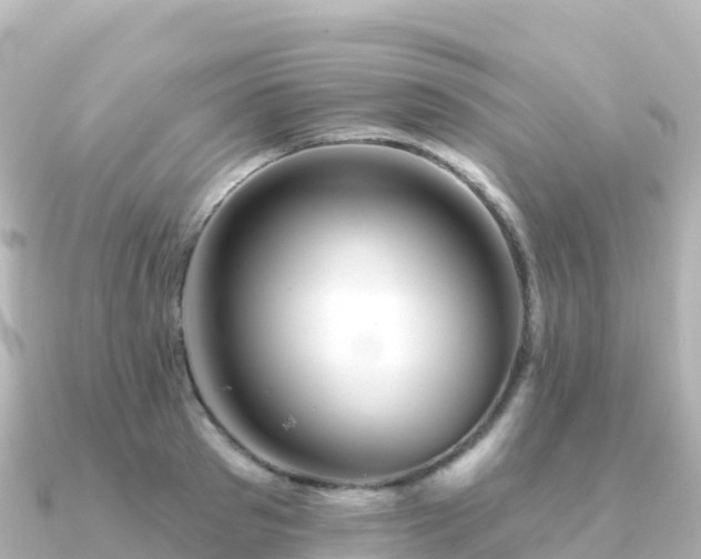 X0000091350897200708101528
